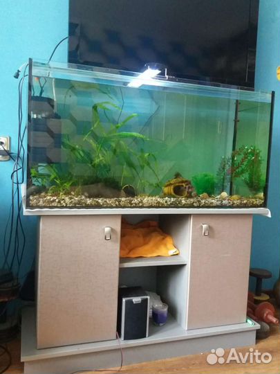 Аквариум