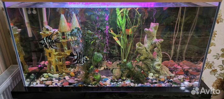 Аквариум с рыбками и тумбой