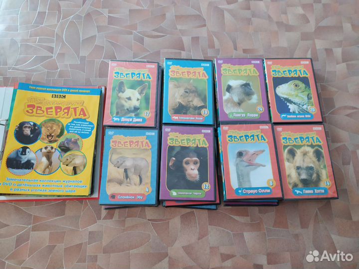 Фильмы о зверятах