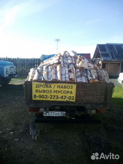 Дрова березовые