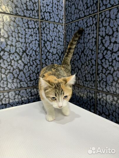 Девочка родившаяся в теплосетях