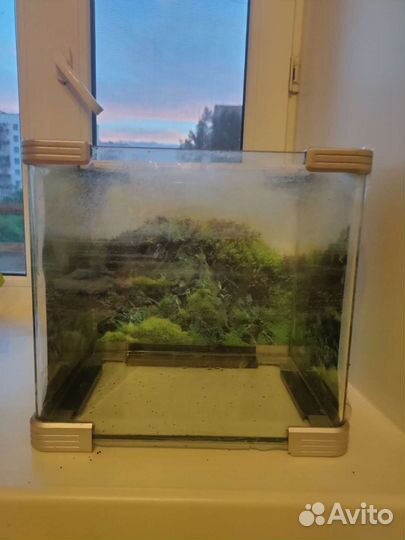 Аквариум