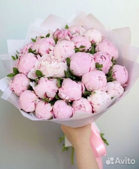 Пионы Букет пионов