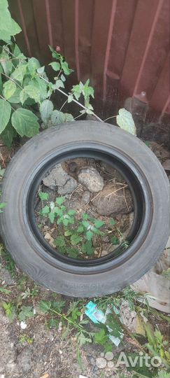 Yokohama Advan Fleva V701 205/55 R16