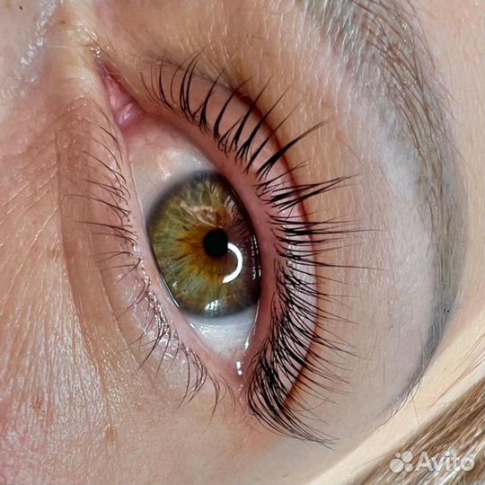 Обучение ламинирование ресниц+botox