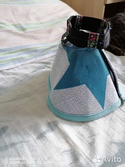 Ветеринарный воротник