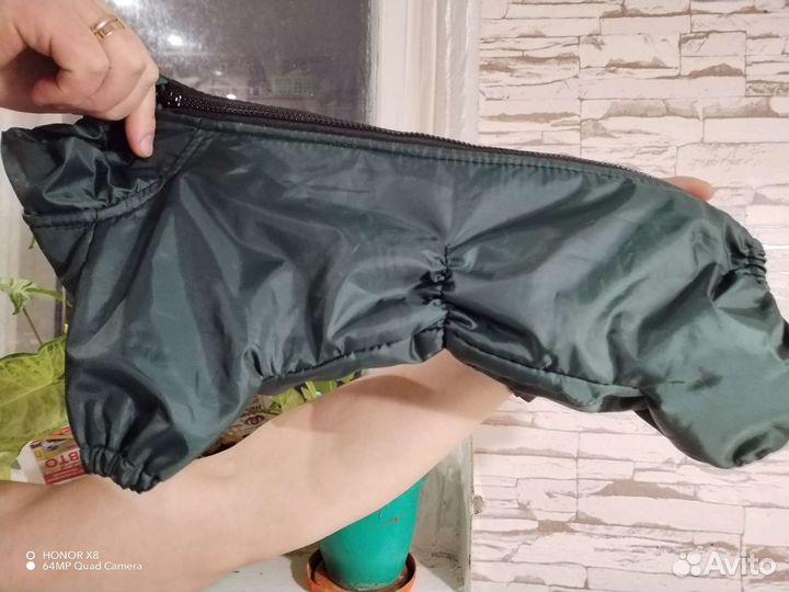 Дождевик для маленькой собаки