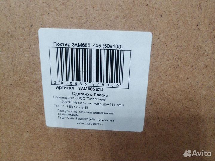 Картина 50*100