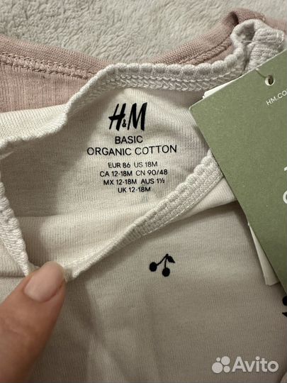 Боди hm 86 новое