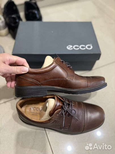 Мужские туфли ecco