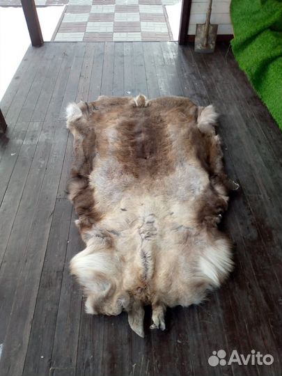 Шкура оленя натуральная