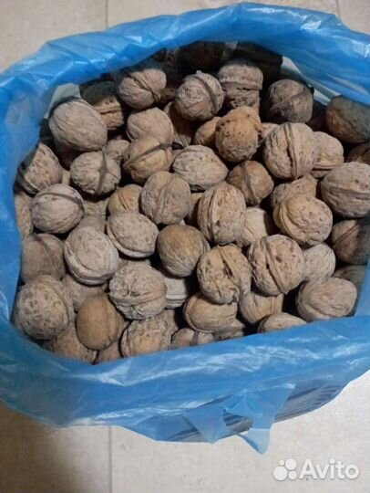 Грецкий орех