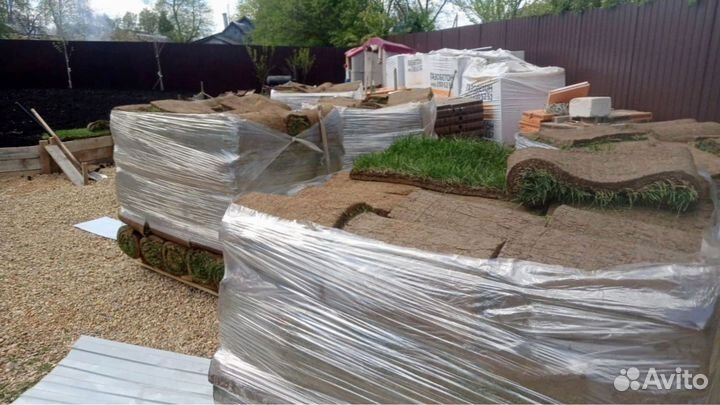Рулонный газон. Укладка, продажа