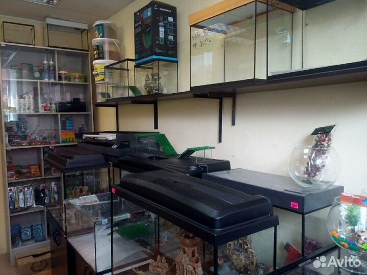 Аквариумы, террариумы, рыбки