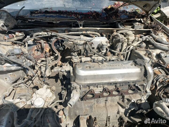 Мотор honda аскот