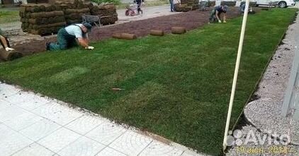 Газон рулонный гарантия