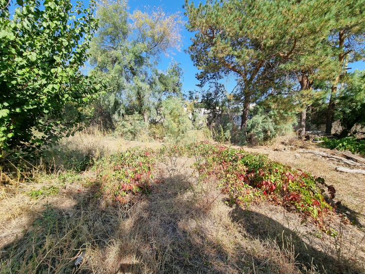 Участок 8,7 сот. (ИЖС)