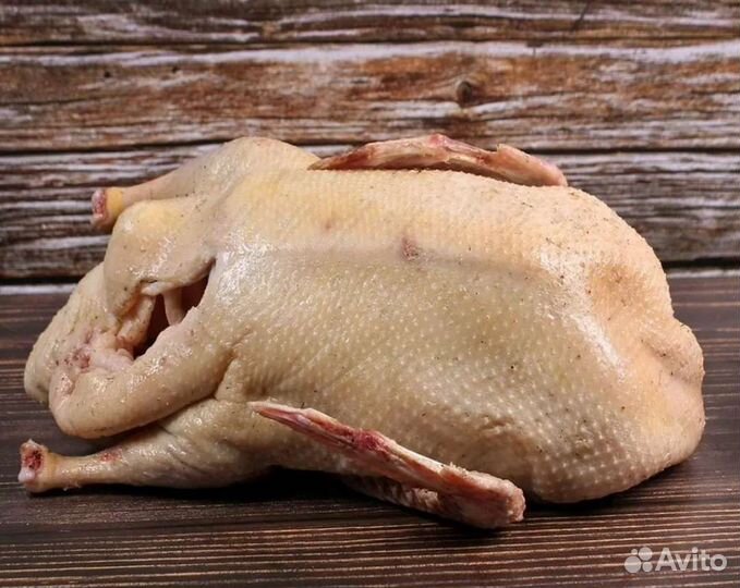 Мясо домашней птицы