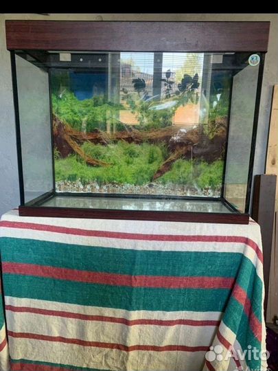 Аквариум 100л
