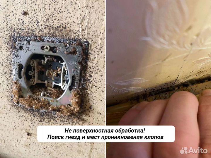 Дезинфекция Уничтожение тараканов