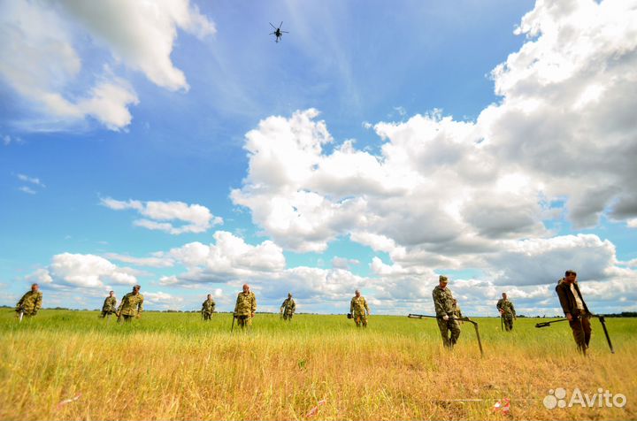 Гуманитарное разминирование (очистка местности)