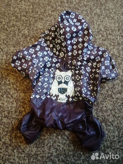 Дождевик для маленькой собаки