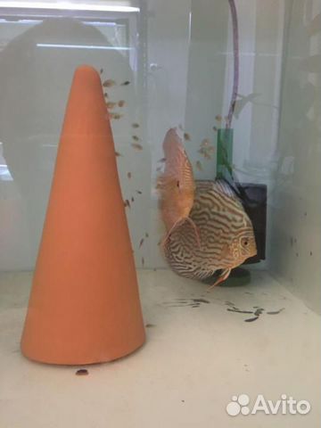Конус для нереста. Укрытия для сомов. Замок. Декор