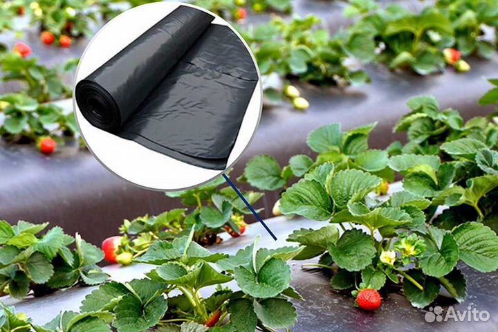 Пленка парниковая п/э, укрывной, мульча, дуги