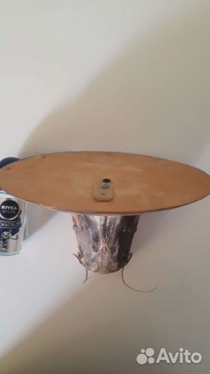 Чучело рыбы