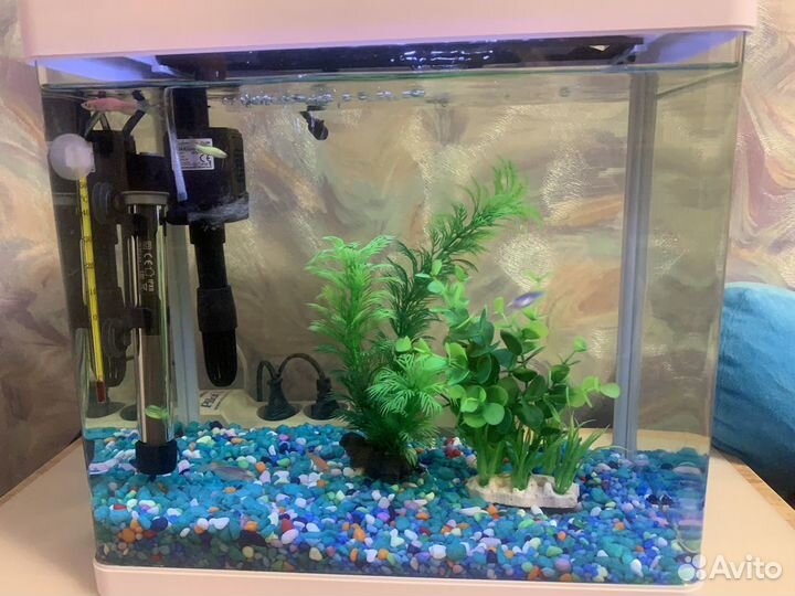 Украшение для аквариума, аквариум, рыбы