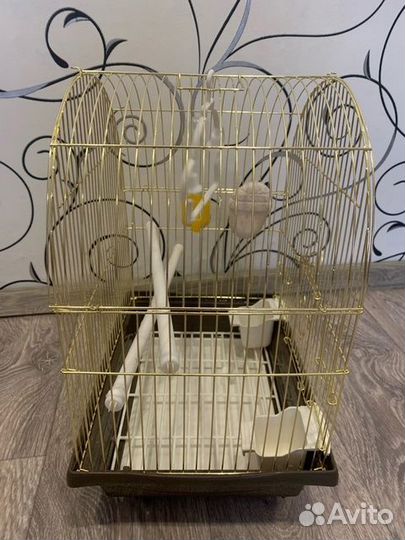 Клетка для попугая