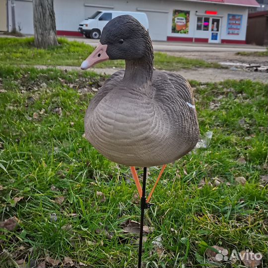 Чучела серого гуся Soft Plast Alfa
