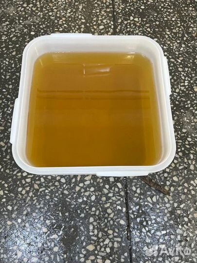 Свежая акация оптом