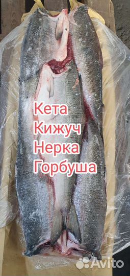 Кижуч, Нерка, Горбуша свежеморженная