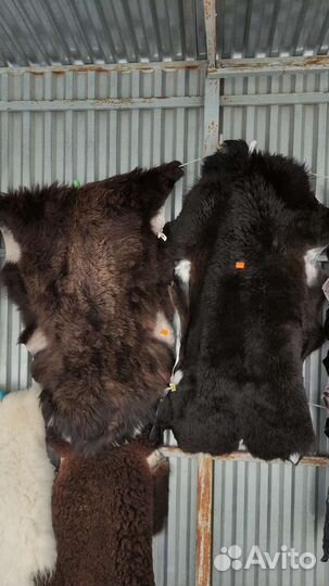 Овечья шкура натуральная