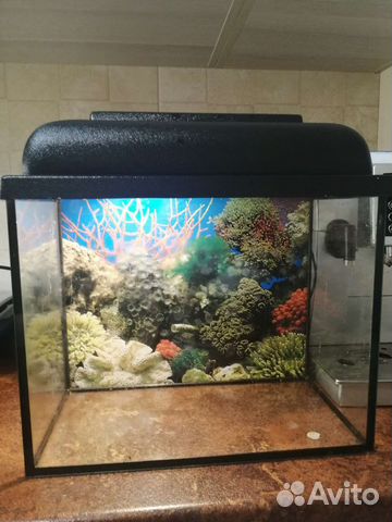 Аквариум