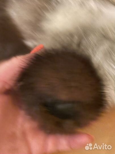 Мягкая игрушка натуральная