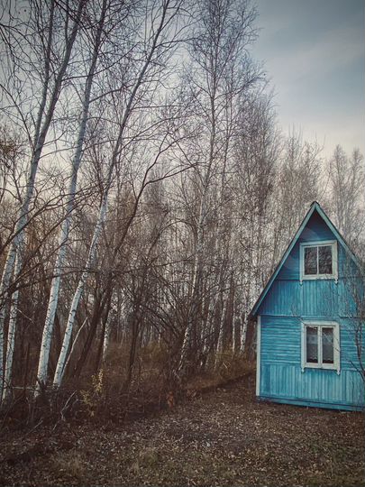 Участок 8 сот. (СНТ, ДНП)