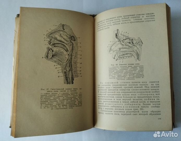 Болезни уха, носа и горла