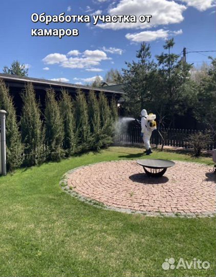 Уничтожение тараканов клопов Обработка от клещей