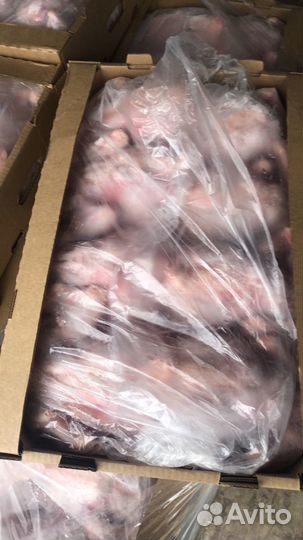 Курица,куры,тушка цыплёнка-бройлера 1го сорта,опто