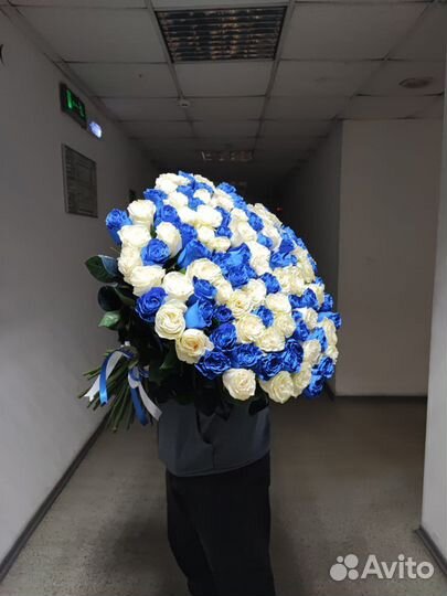 Роза 31 51 101 розы цветы букет