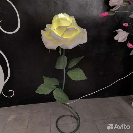 Цветы розы с доставкой