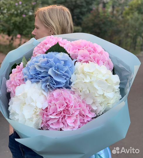 Гортензия. Букеты. Свежая Гортензия с Доставкой