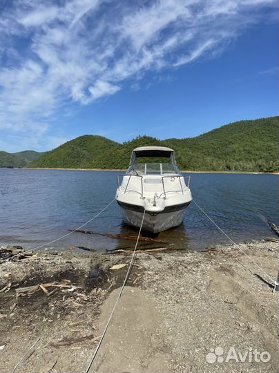 Катер maxum scr2400