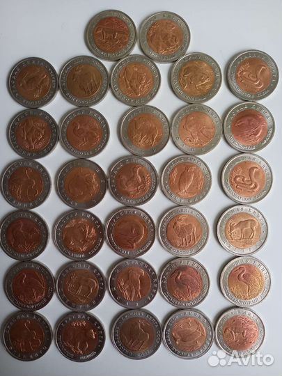 Копии монет Красная книга. Сувенир