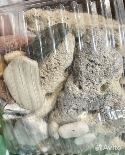 Камушки и ракушки для аквариума