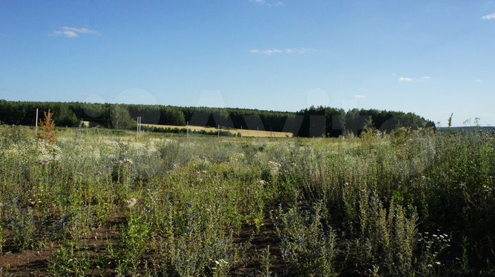 Участок 10 сот. (СНТ, ДНП)