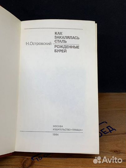 Как закалялась сталь. Рожденные бурей