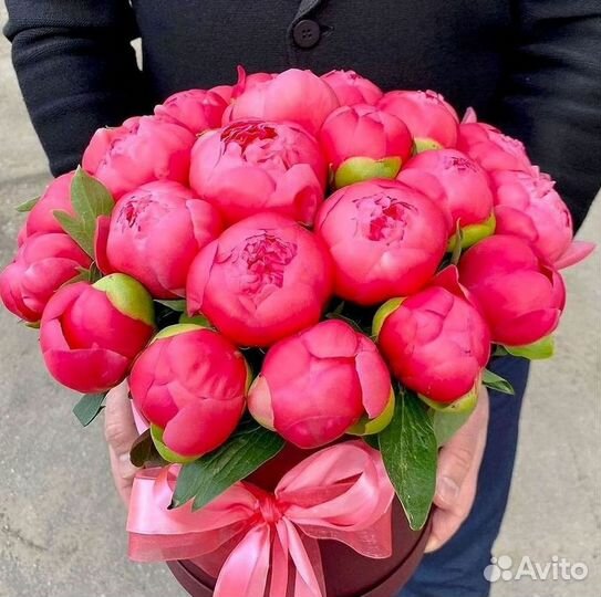 Пионы Букет пионов